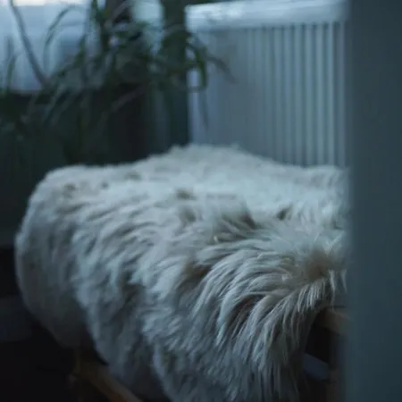 Apartment Boulevard No1 Gara De Nord