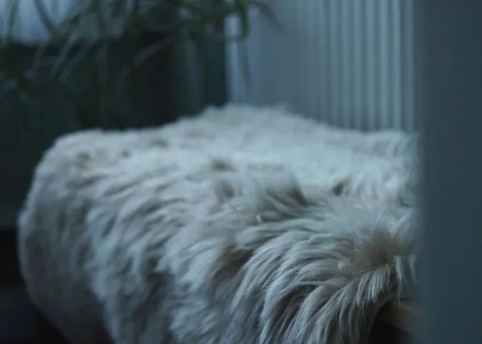 Апартаменти Boulevard No1 Gara De Nord